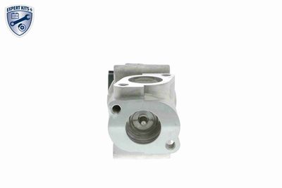 SUPAPA EGR VEMO V246300101 3