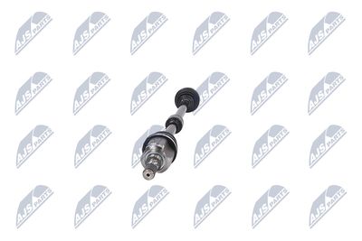 PLANETARA NTY NPWCH062 16