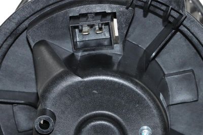 VENTILATOR HABITACLU WALKER WBL01408 6