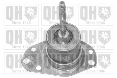 Подвеска, двигатель QUINTON HAZELL EM3163 для FIAT PUNTO