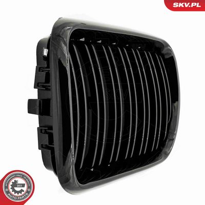 GRILA RADIATOR ESEN SKV 66SKV054 5