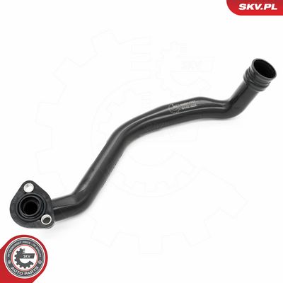 Žarna, karterio alsuoklis