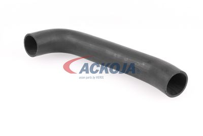 FURTUN EAR SUPRAALIMENTARE ACKOJA A379602 17