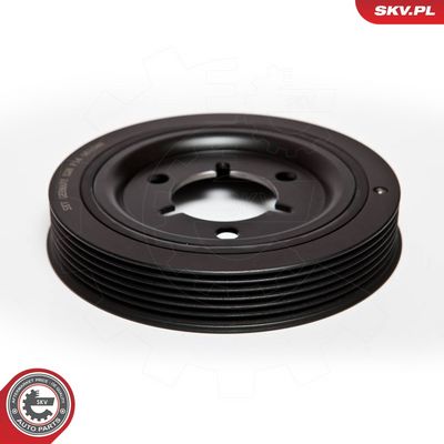 FULIE CUREA ARBORE COTIT ESEN SKV 95SKV310