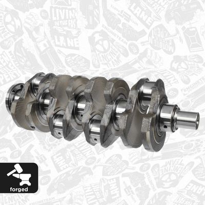 ARBORE COTIT ET ENGINETEAM HK0165 1