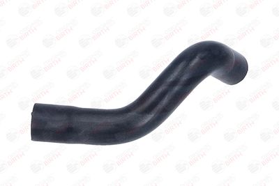 FURTUN ULEI BIRTH 56017 6