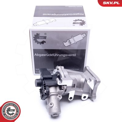 AGR - Ventil ESEN SKV 14SKV171