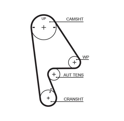 GATES Zahnriemen RPM™ Racing Timing Belt (T224RB)