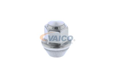 RADMUTTER VAICO V250972 19