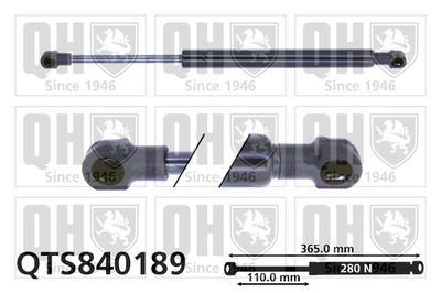 QUINTON HAZELL QTS840189 Амортизатор багажника и капота  для BMW 3 (Бмв 3)