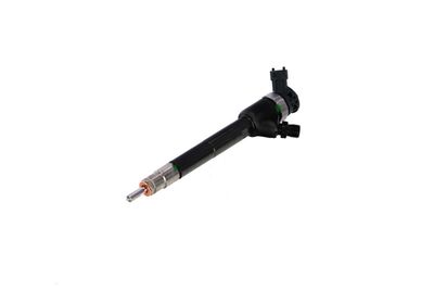 INJECTOR REMANTE 002003002242R 61