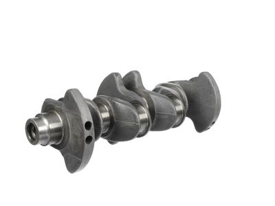 ARBORE COTIT ET ENGINETEAM HK0219 15