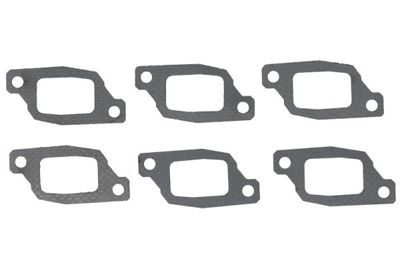 Pakking uitlaatspruitstuk (hoeveelheid per verpakking: 6pcs, prijs per: 6pcs,) past: DEUTZ FAHR 5080 D, 5090 D, 5090.4, 5090.4 D, 5100.4 D, 5115.4 G  HUERLIMANN 100.4 FARMOTION, 80