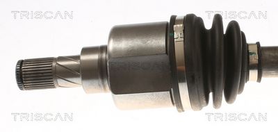 PLANETARA TRISCAN 854016667 1