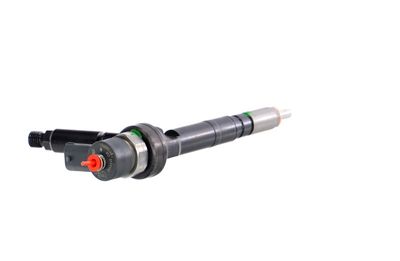 INJECTOR REMANTE 002003001094R 34