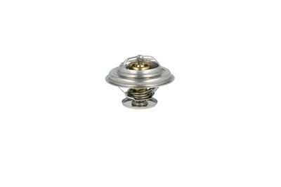 TERMOSTAT LICHID RACIRE NRF 725071 45