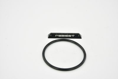 ETANșARE CARCASă CLAPETă FEBEST RINGAH034 27