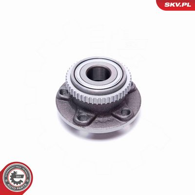 SET RULMENT ROATA ESEN SKV 29SKV538 3