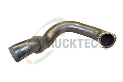 FURTUN EAR SUPRAALIMENTARE