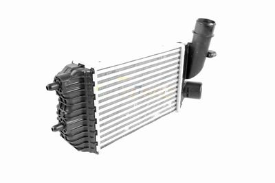 INTERCOOLER COMPRESOR VEMO V22600013 8
