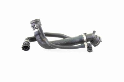 KüHLERSCHLAUCH VAICO V201691 1