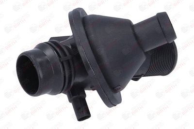 FLANSA LICHID RACIRE BIRTH 81868 11