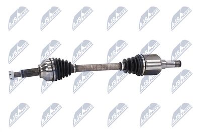 PLANETARA NTY NPWFR073 23