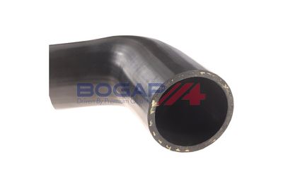 FURTUN EAR SUPRAALIMENTARE BOGAP B1711131 3