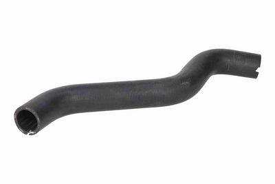 FURTUN RADIATOR VAICO V241591