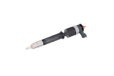 INJECTOR REMANTE 002003001319R 7