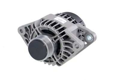 GENERATOR / ALTERNATOR REMANTE 011003000017R 61
