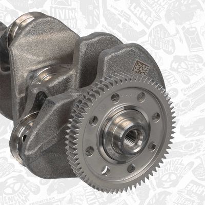 ARBORE COTIT ET ENGINETEAM HK0222 3