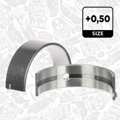 SET RULEMT ARBORE COTIT ET ENGINETEAM LH007950 1