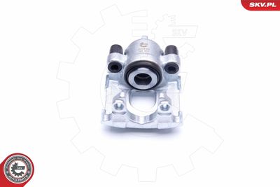 Brake Caliper 42SKV993