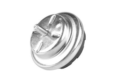 SUPORT MOTOR TEDGUM 00504647 1