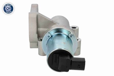 SUPAPA EGR ACKOJA A52630023 6