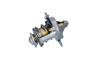 TERMOSTAT LICHID RACIRE NRF 725233 32