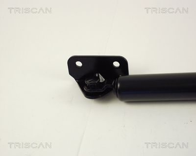 AMORTIZOR PORTBAGAJ KAWE 871043206 1