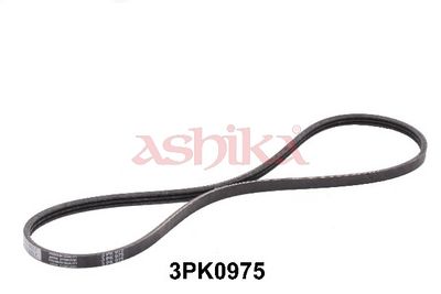 ASHIKA Keilrippenriemen