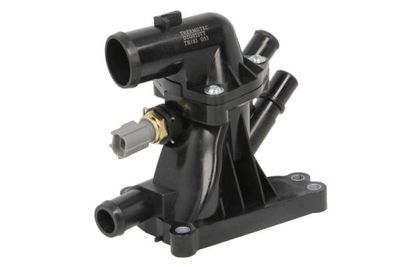 TERMOSTAT LICHID RACIRE