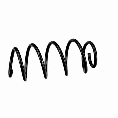 ARC SPIRAL EIBACH R10193 6