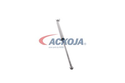 AMORTIZOR PORTBAGAJ ACKOJA A320092 24