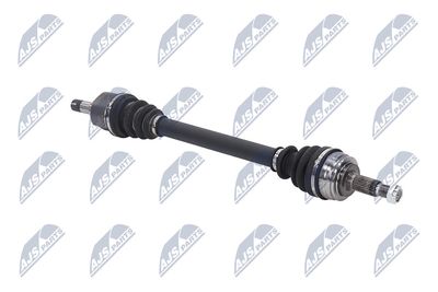 PLANETARA NTY NPWPE077 10