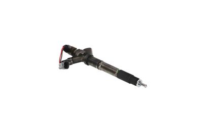 INJECTOR REMANTE 002003001324R 46
