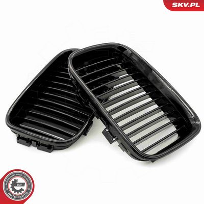 GRILA RADIATOR ESEN SKV 66SKV043 4