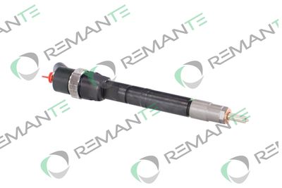 INJECTOR REMANTE 002003001099R 3