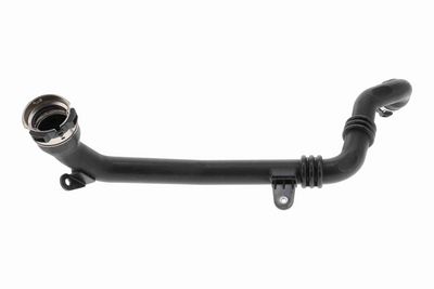 FURTUN EAR SUPRAALIMENTARE ACKOJA A380815 1