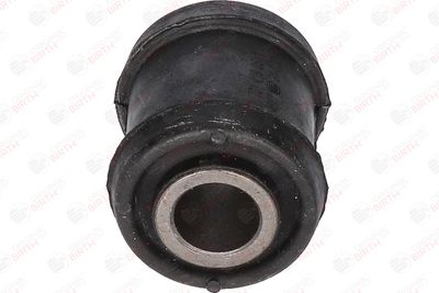 BUCSA ARBORE DE DIRECTIE BIRTH 4817 10