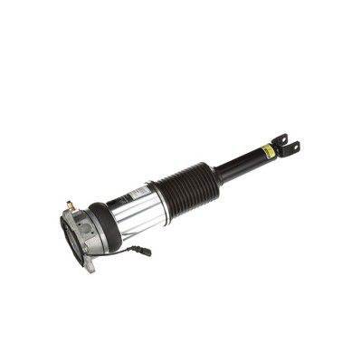 LUFTFEDERBEIN Arnott AS2965 74