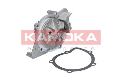 Water Pump, engine cooling T0091